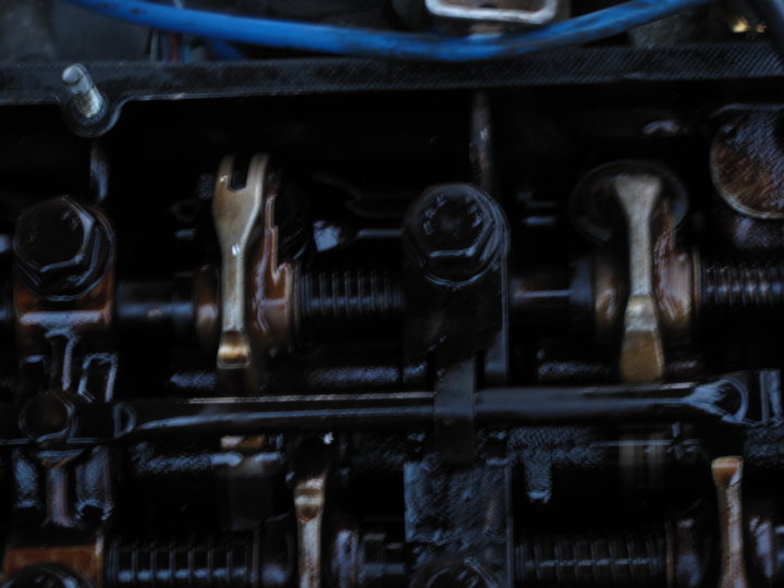 37298_1506470265281_5107094_n