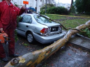 In case you wonder, the front looks perfect!